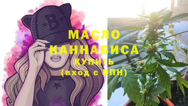 молекула духа Семилуки