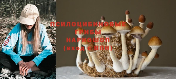 стафф Балабаново