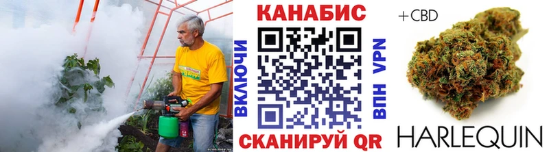 МАРИХУАНА планчик Верхняя Тура